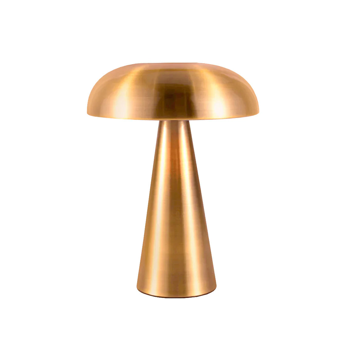 Stylish Portable Rechargeable Lighting